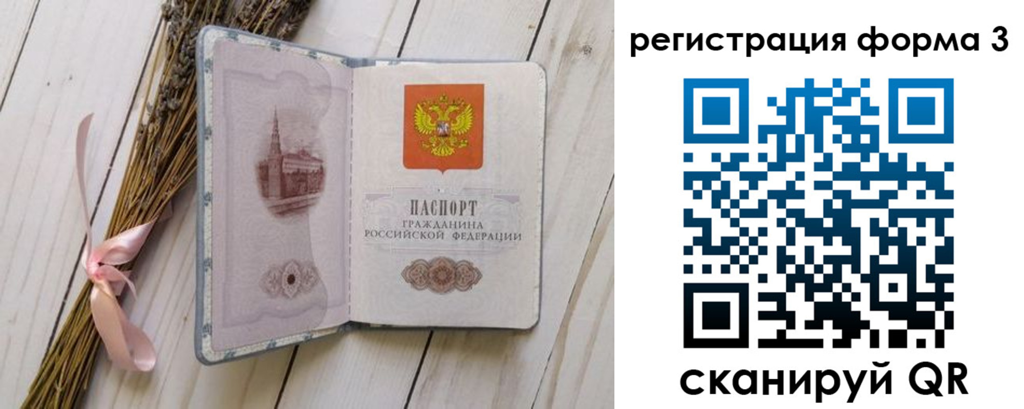 прописка поиск в Камчатском крае